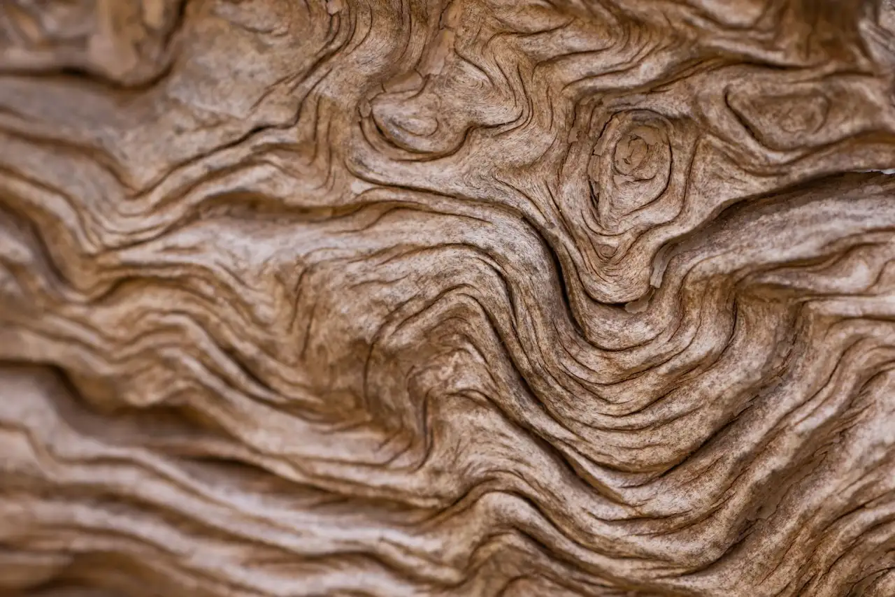 2024年福建企业短视频剧本定制方案:如何匹配不同行业的产品特性